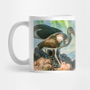 American white ibis 3 Mug